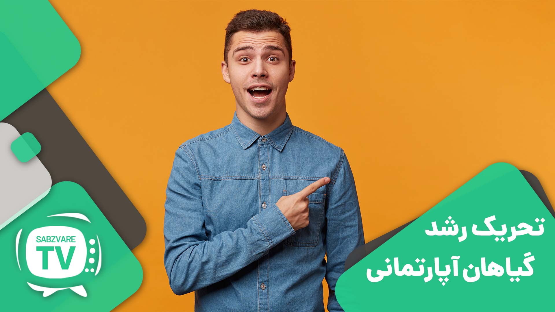 تحریک رشد گیاهان آپارتمانی