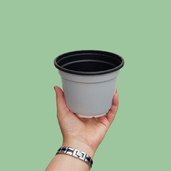 خرید گلدان طبیعی اینترنتی