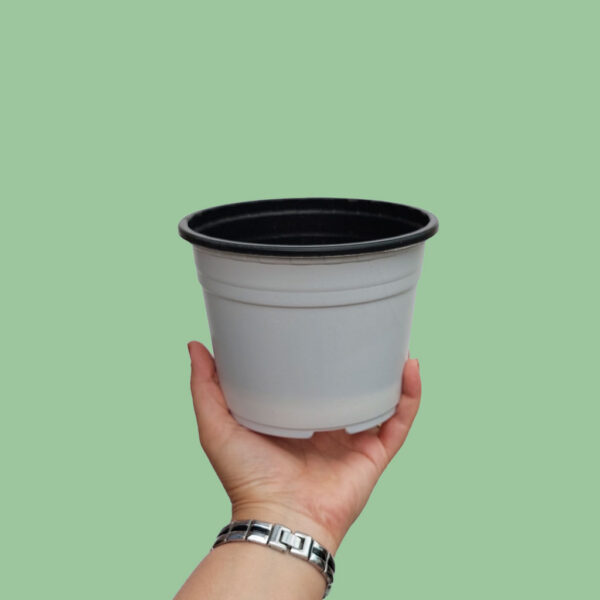 خرید گلدان طبیعی اینترنتی