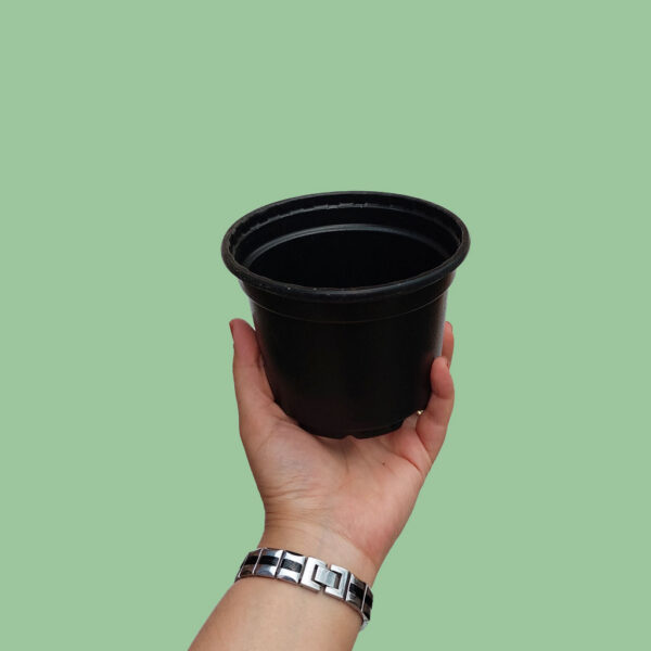 خرید گلدان طبیعی اینترنتی