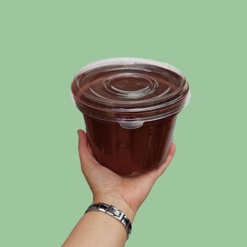 خرید گلدان طبیعی اینترنتی