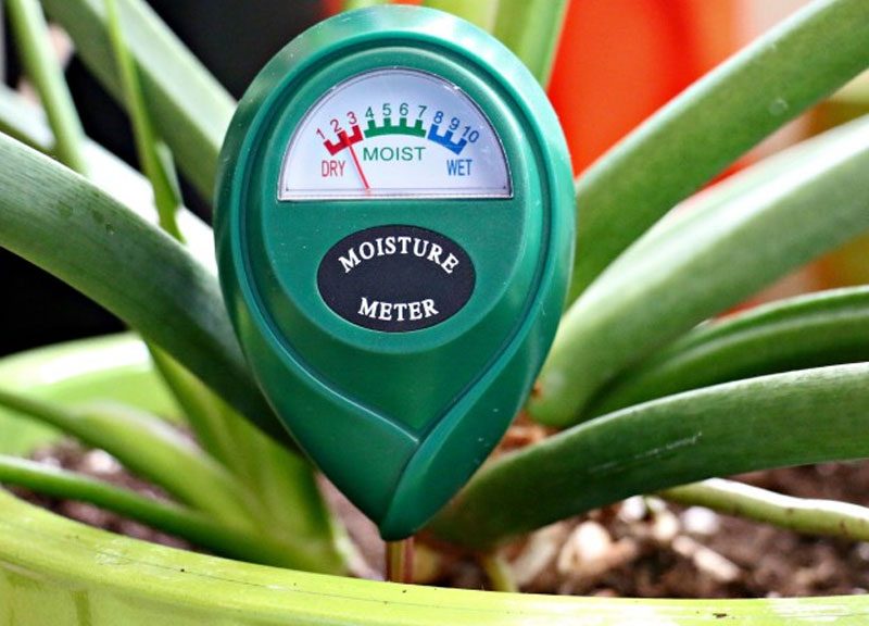 رطوبت سنج خاک - خرید آنلاین گل