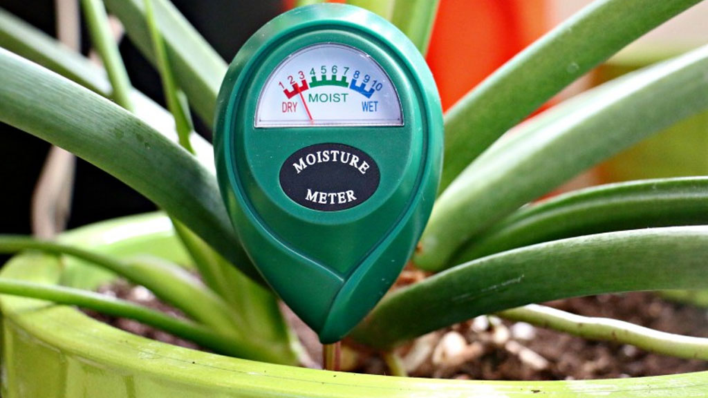 رطوبت سنج خاک - خرید آنلاین گل