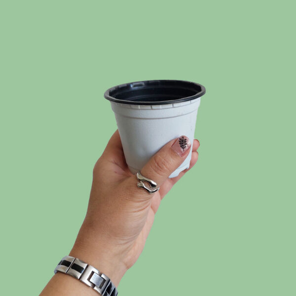 خرید گلدان طبیعی اینترنتی