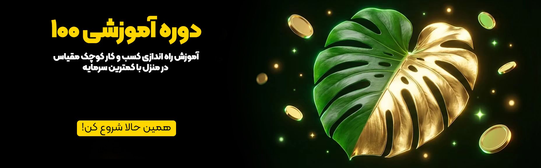 فروش گیاهان آپارتمانی